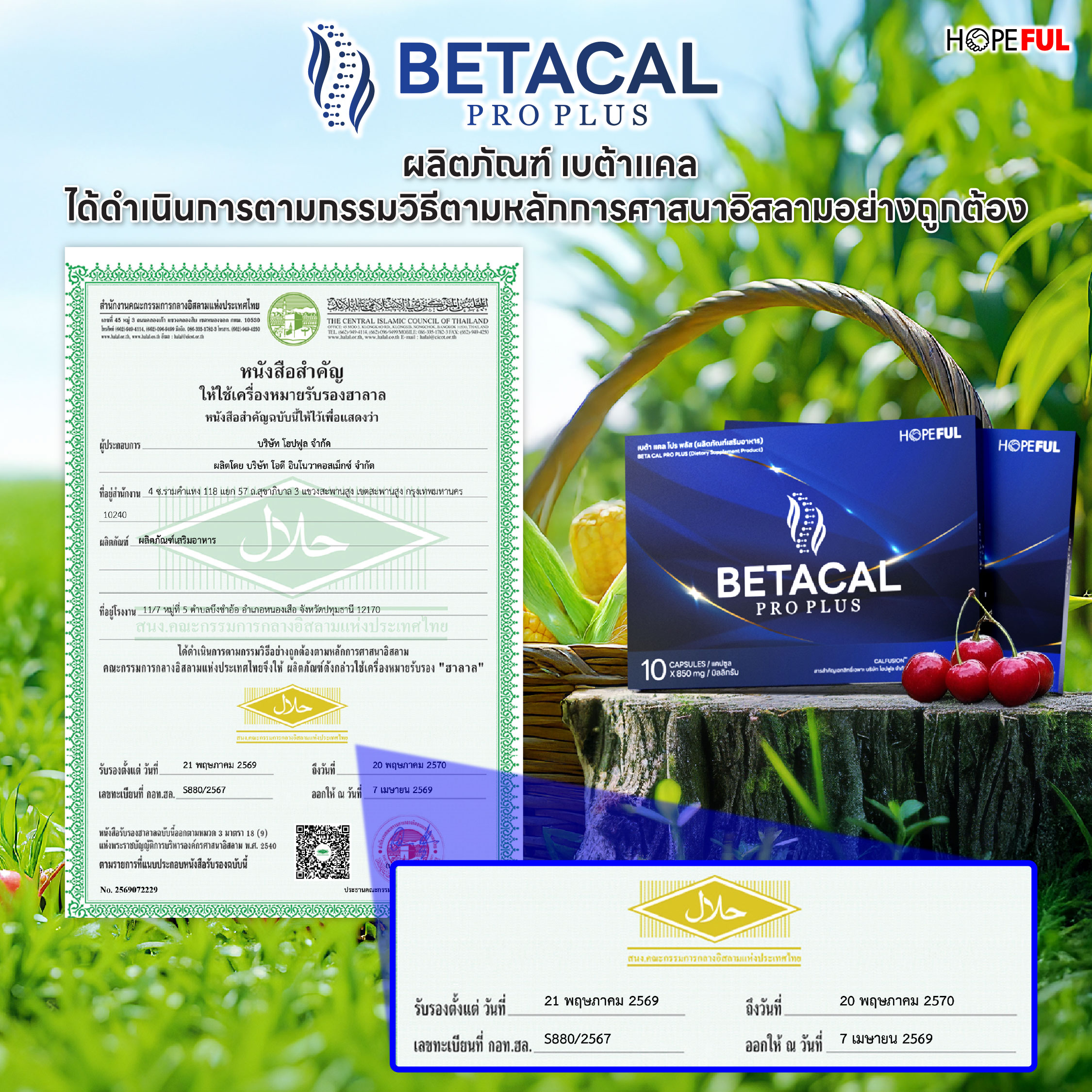 Halal Cert
